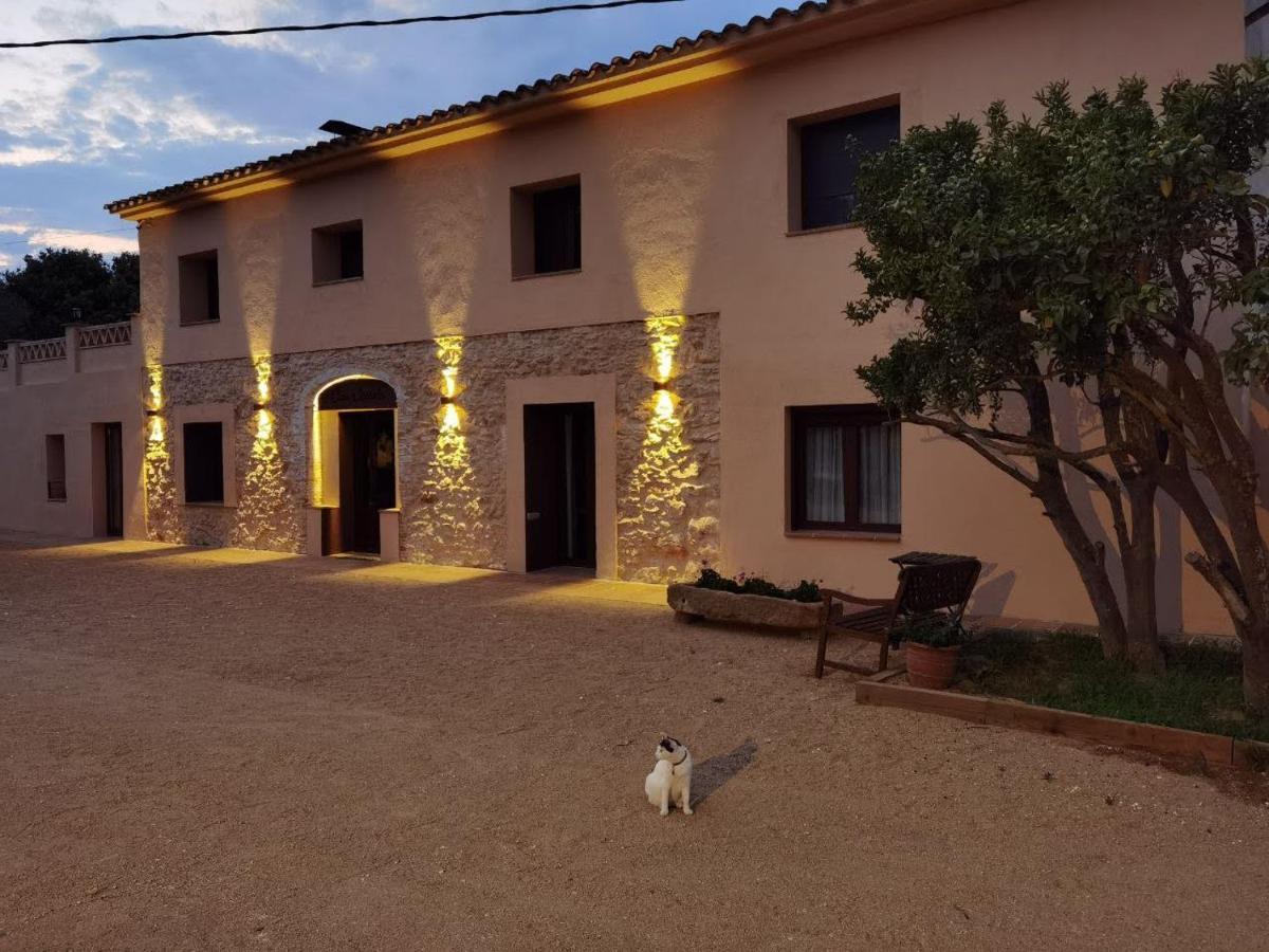 Costals Olivo Apartamento