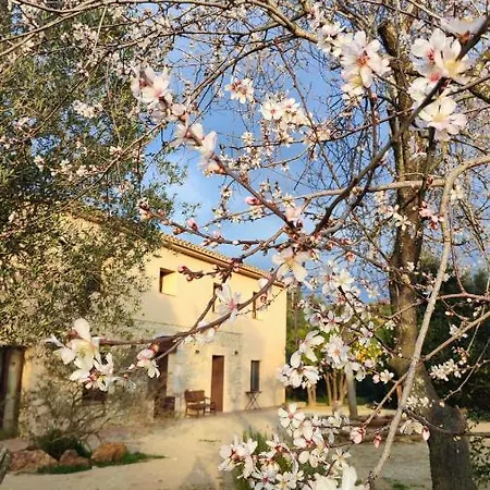 Can Costals Naturaleza Pals Exterior photo