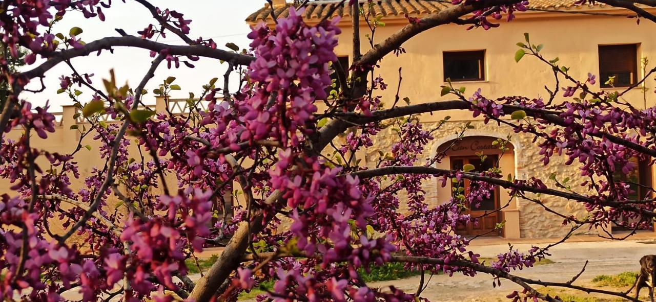 Apartment Costals Naturaleza *