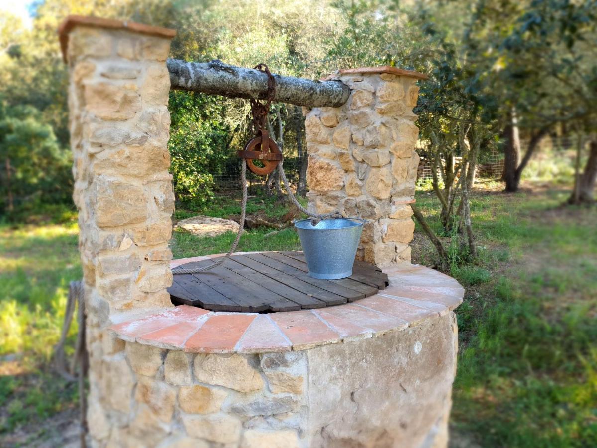 Apartment Costals Naturaleza