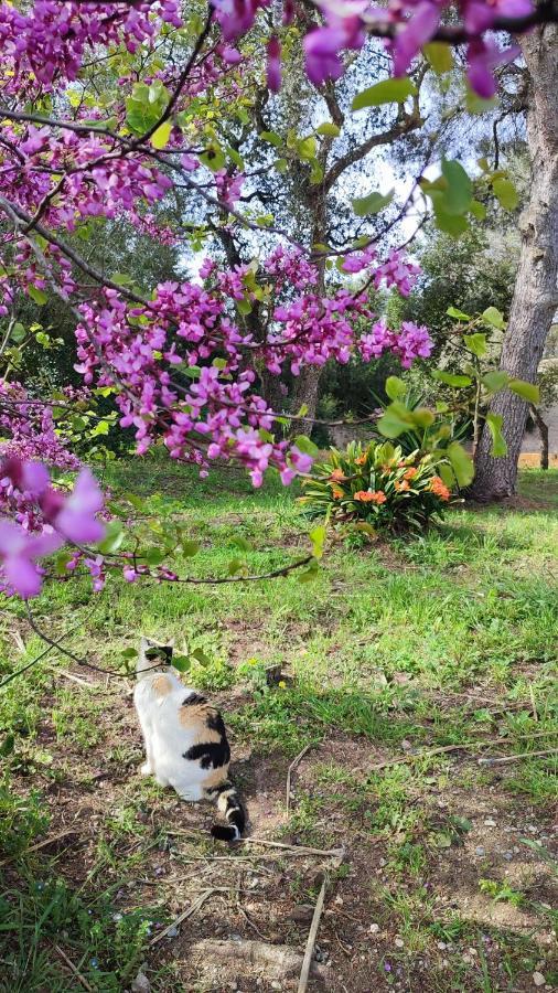 Costals Naturaleza *