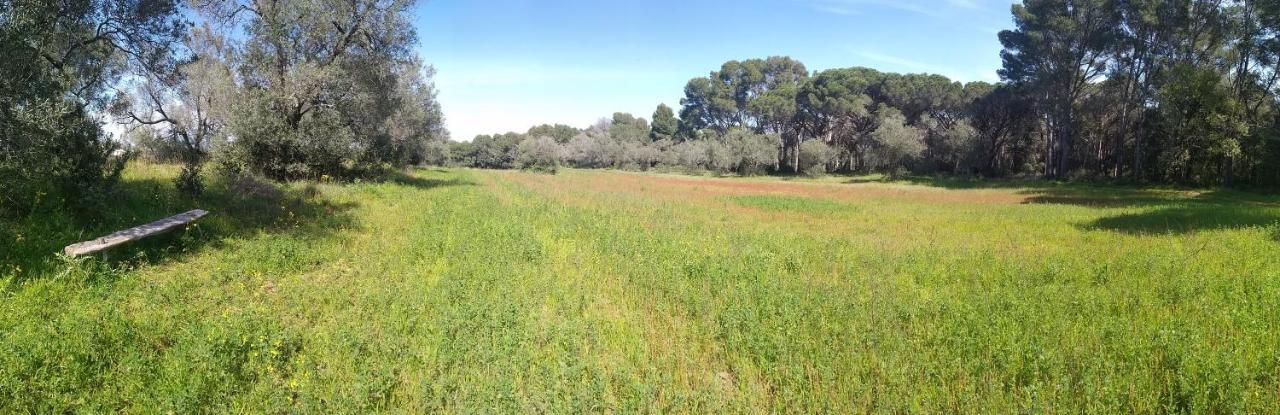 Costals Naturaleza Pals